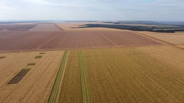 R$180.000.000 Milhões Fazenda de 2.932 ha em Nova Xavantina - MT