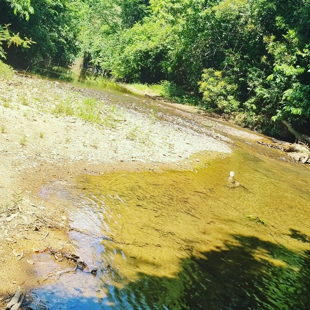 Chacara aluguel - Foto 11