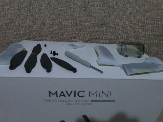 dji mavic mini the everyday flycam