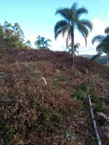 Sítio 3,7 hectares, Pastagem, Roça, 2ª Linha, Divisa de São Pedro com Águas Mornas SC - Foto 14