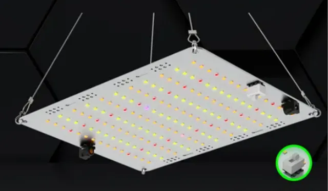 Reflector preso + cabo de 1,5m + pluginPlay - Grow Barato