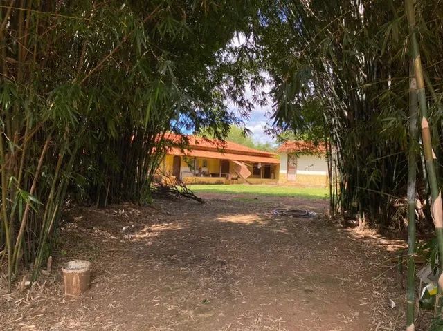 Fazenda 17 ha, riacho nos fundos, lagoa de peixes, água por gravidade, Serra do Cipó. - Foto 3
