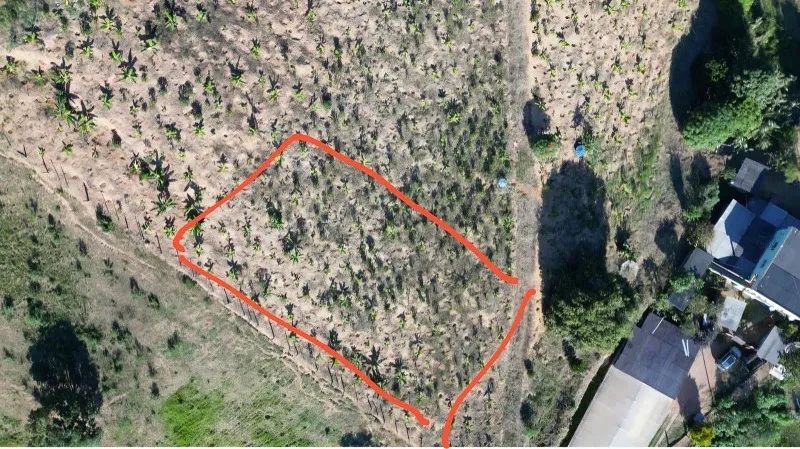 Oportunidade Única de Investimento: Terreno à Venda em Perobas, Domingos Martins! - Foto 13