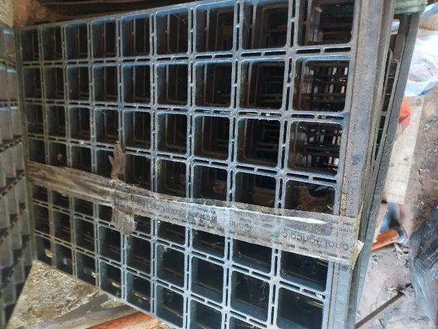 Kit bandejas e tubetes para viveiro JKS - Foto 6