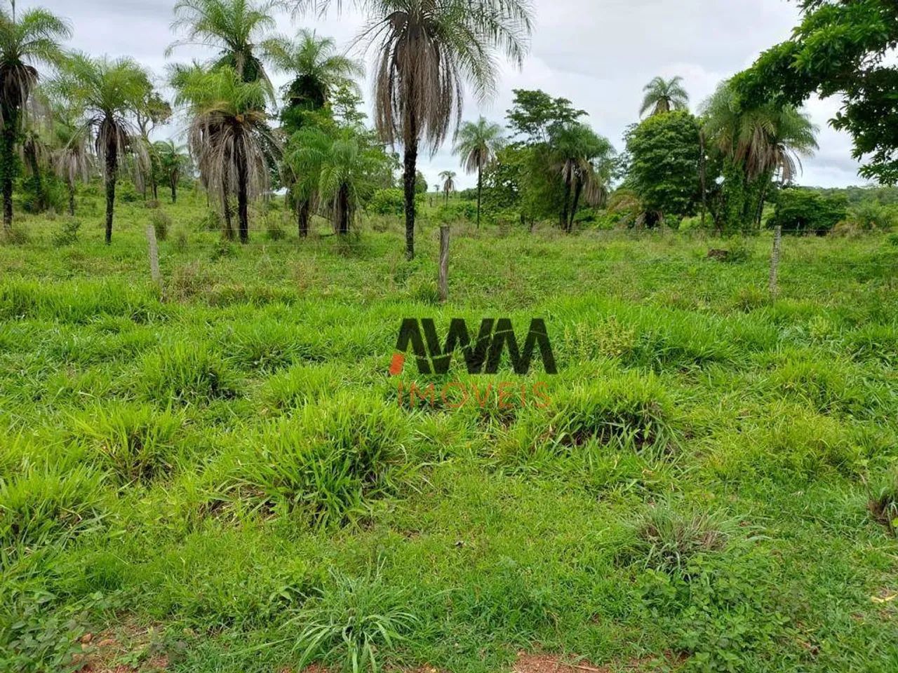 Fazenda à venda,  m² por R$ 55.000.000,00 - Zona Rural - Duerê/TO