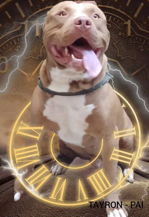 Filhotes de Pit Monster