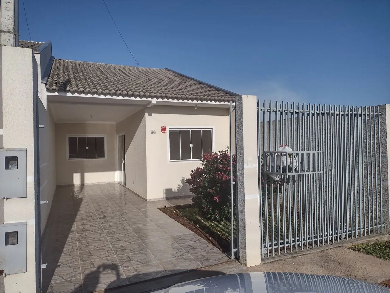 Foto - Ponta Grossa - Cará-cará