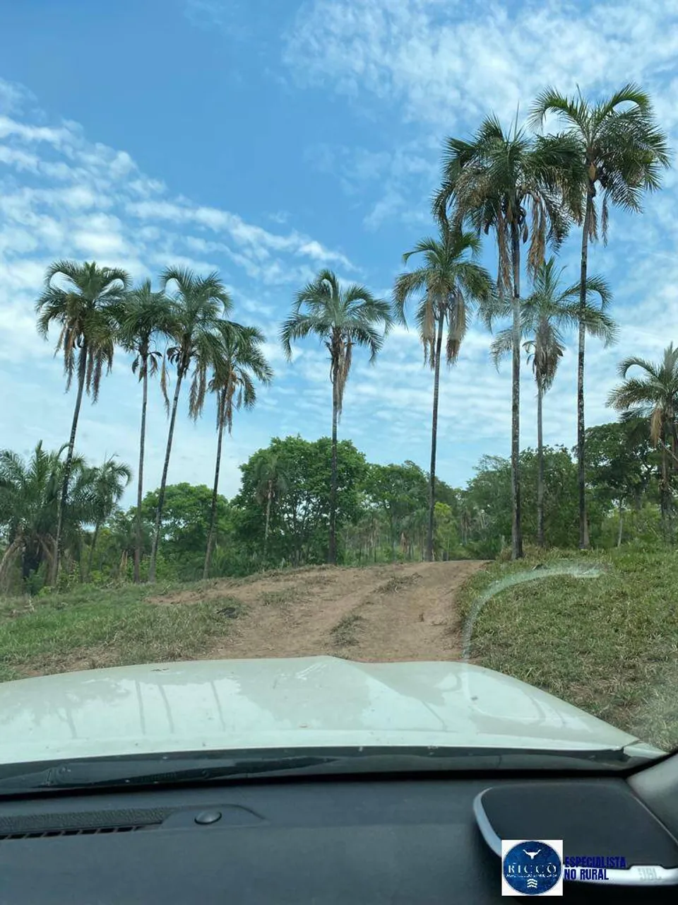 Fazenda à Venda em Bom Jardim - GO | 98 Alqueires