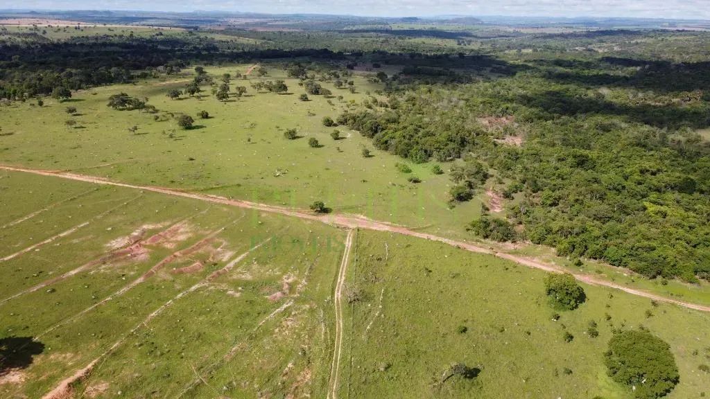 Fazenda à venda em Ivolândia, Imóvel Rural, com 2 quartos, com 387.2 hectares - Foto 4