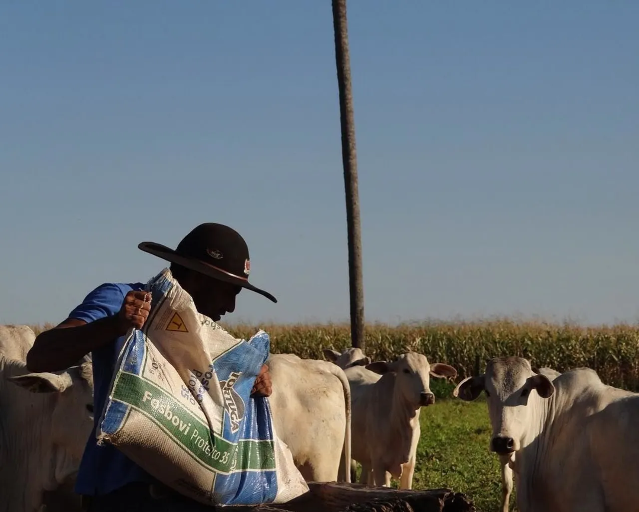 Precisa de peão para fazenda