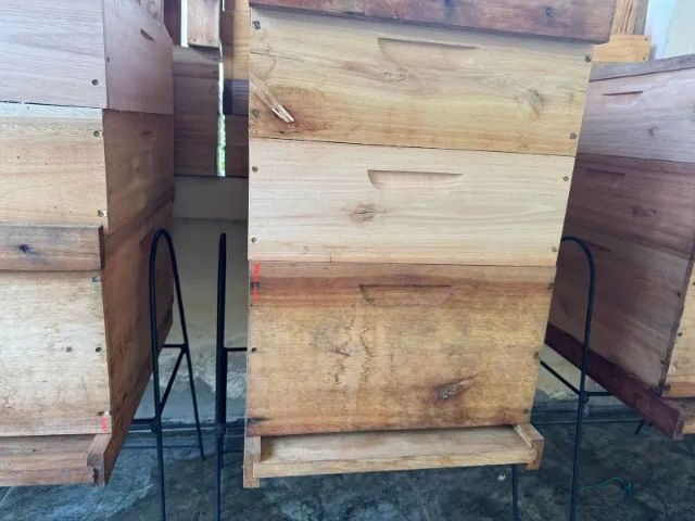 Vendo 9 caixas de apis padrão langstrot super nova com cavelete de aço , com 2 melgueiras - Foto 4