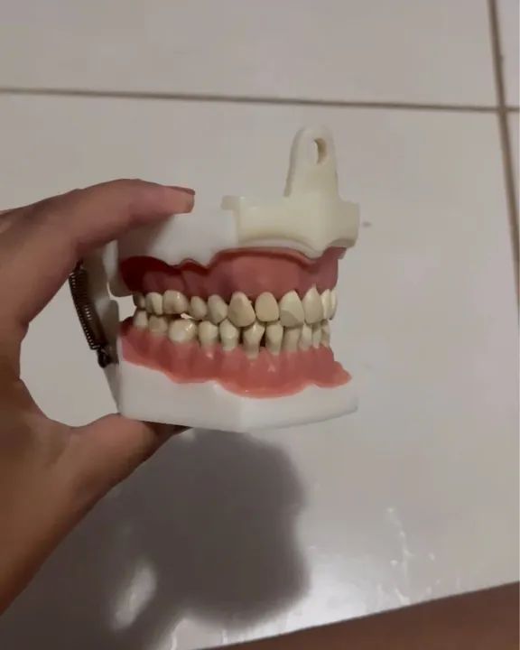 Manequim Dentistica  - Foto 2