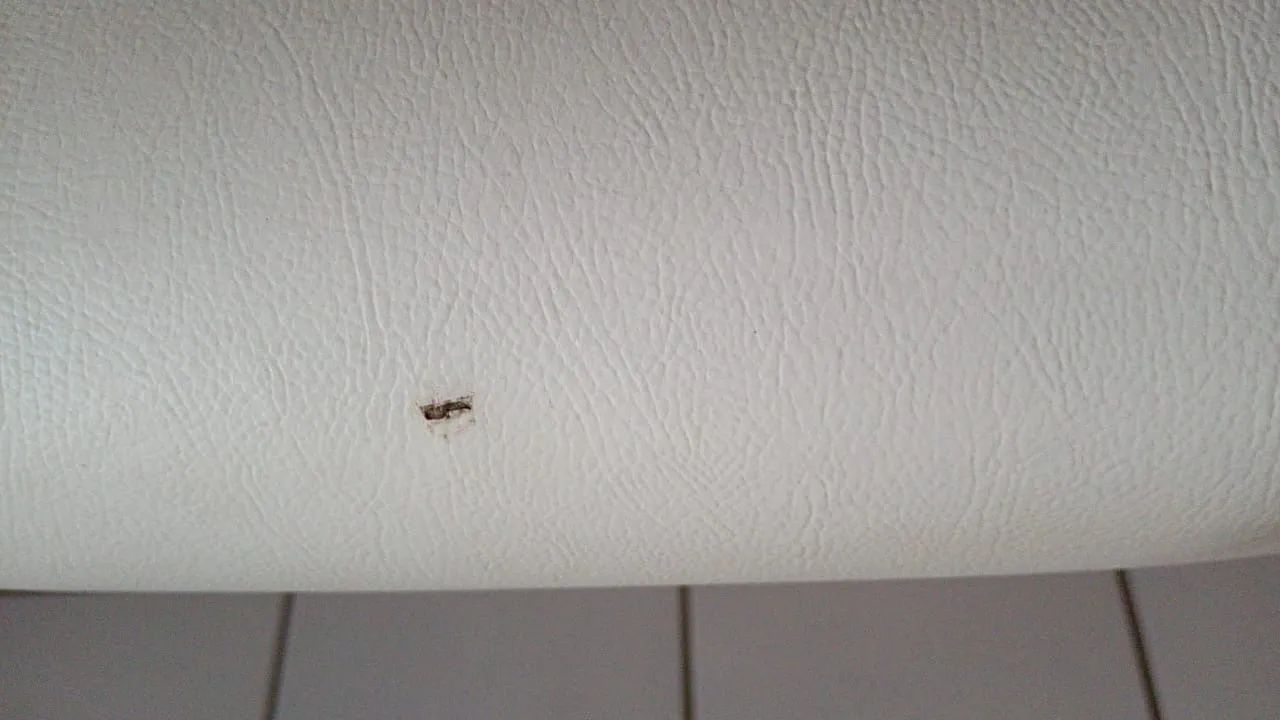 Para vender rápido!! Maca portátil LEGNO (Antares)  - Foto 5