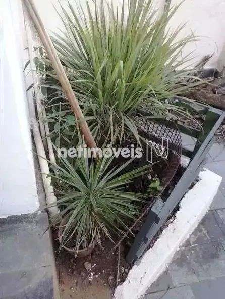 Casa de 3 quartos à venda no Bonfim! - Foto 4