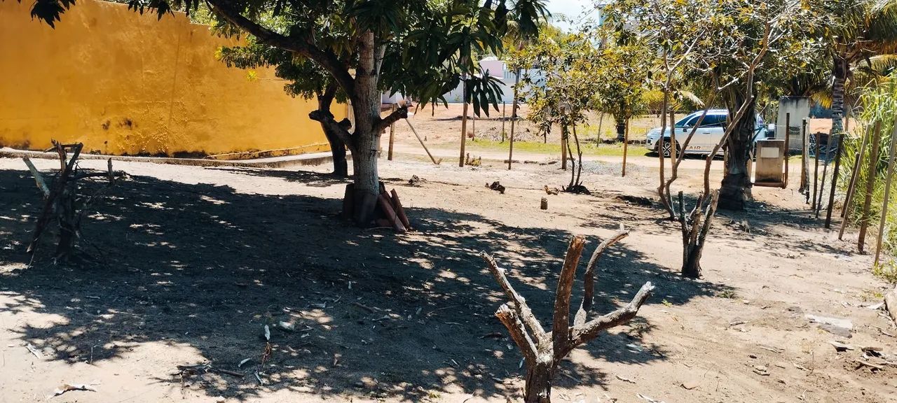 Vendo lote próximo à praia. - Foto 4