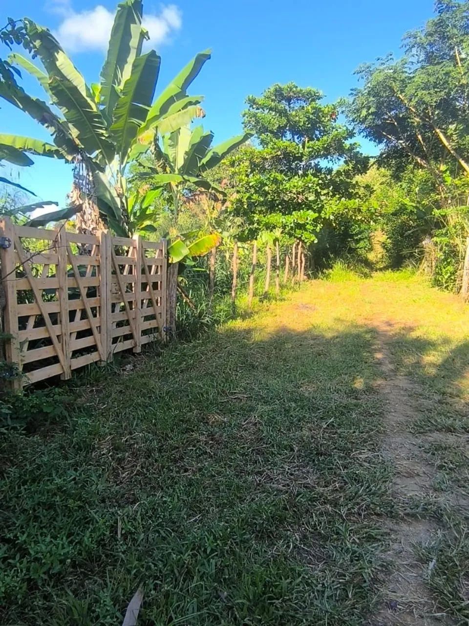Foto - Jaboatão dos Guararapes - Manassu