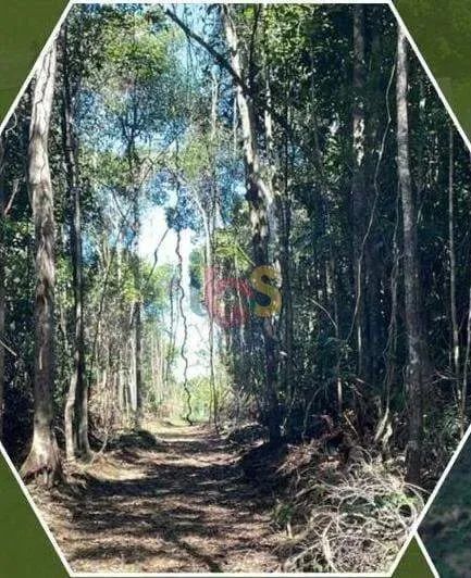 Vendo Terreno em Serra Grande - Foto 2