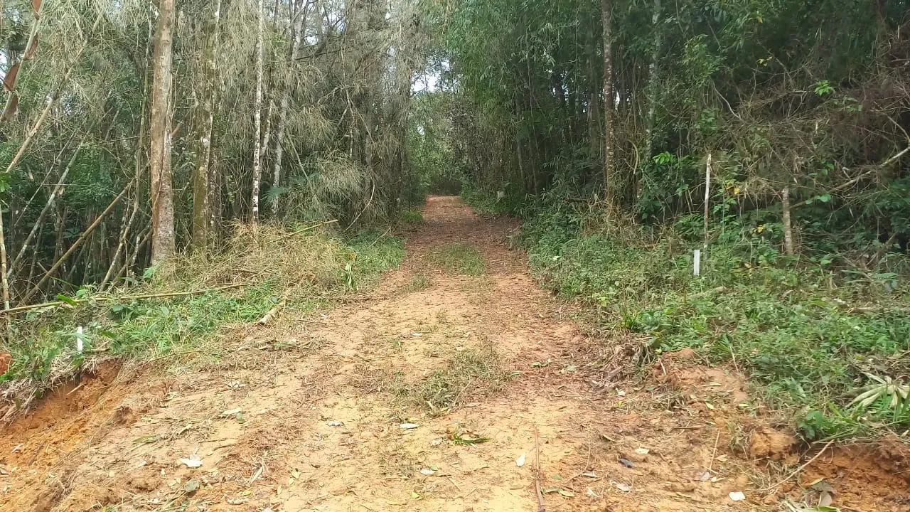 OPORTUNIDADE UNICA