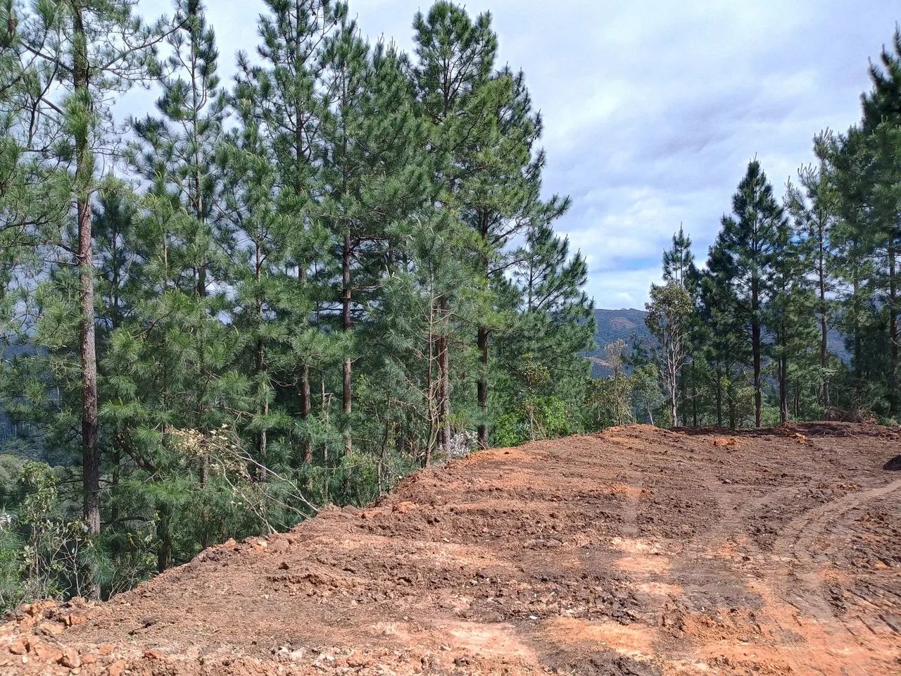 ANITÁPOLIS/SC - Terreno com vista panorâmica 2hectares  - Foto 4