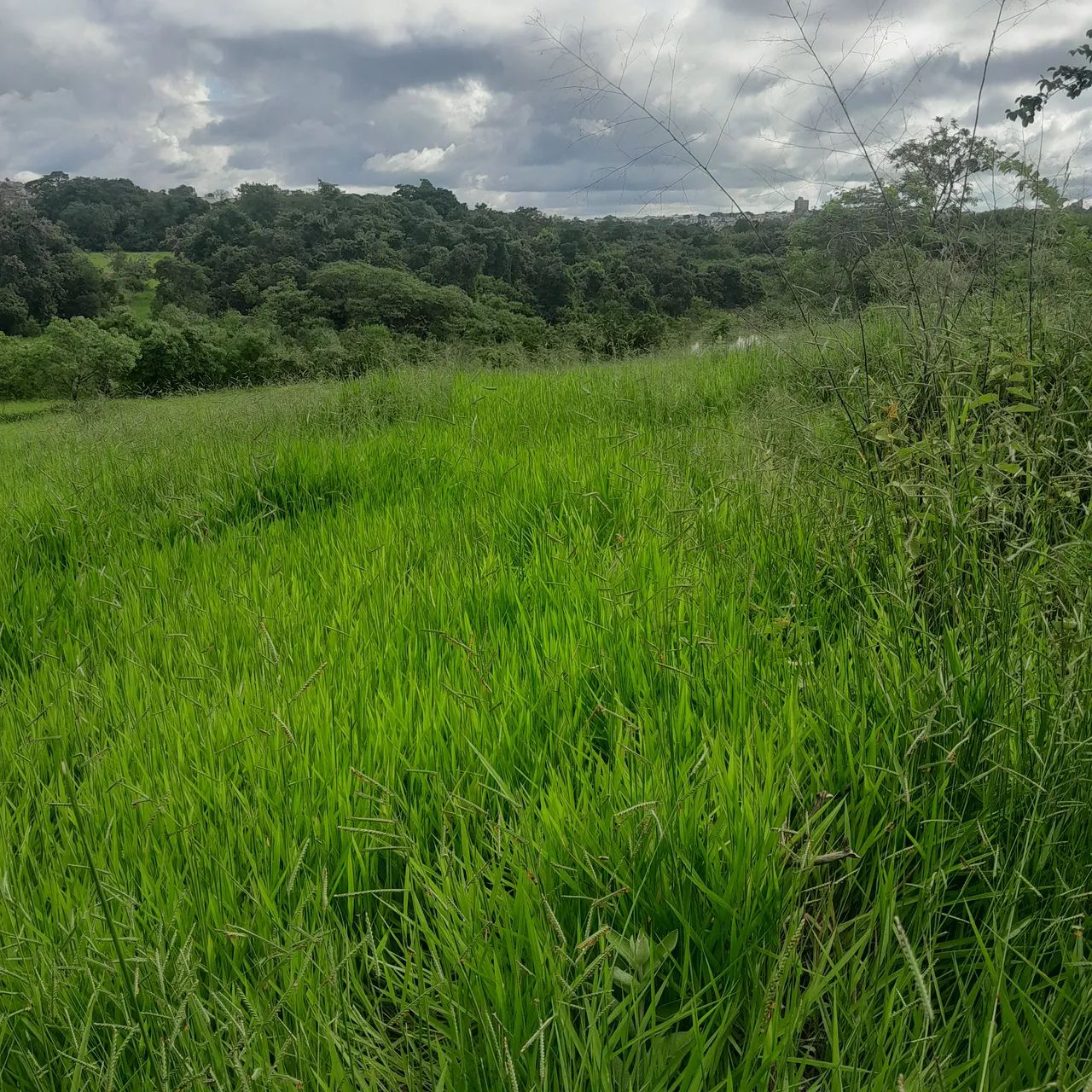 Foto - Salto - Itapecerica