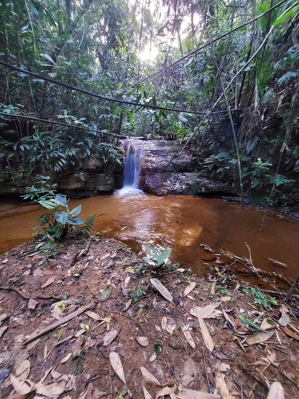 Terreno 24000m2 - 8km Sao Roque da Maravilha - Foto 8