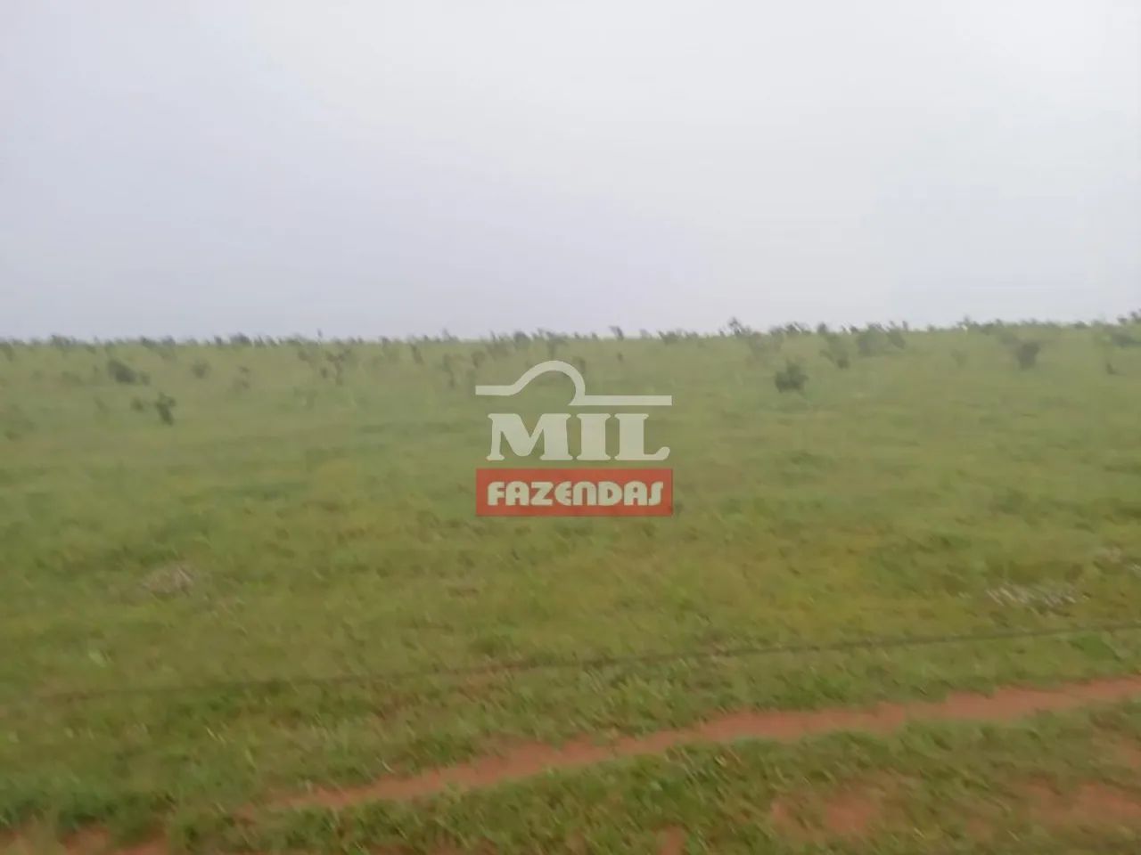 Fazenda em Primavera do Leste-MT. . 930 Alq. (4.501 Há). - Foto 5