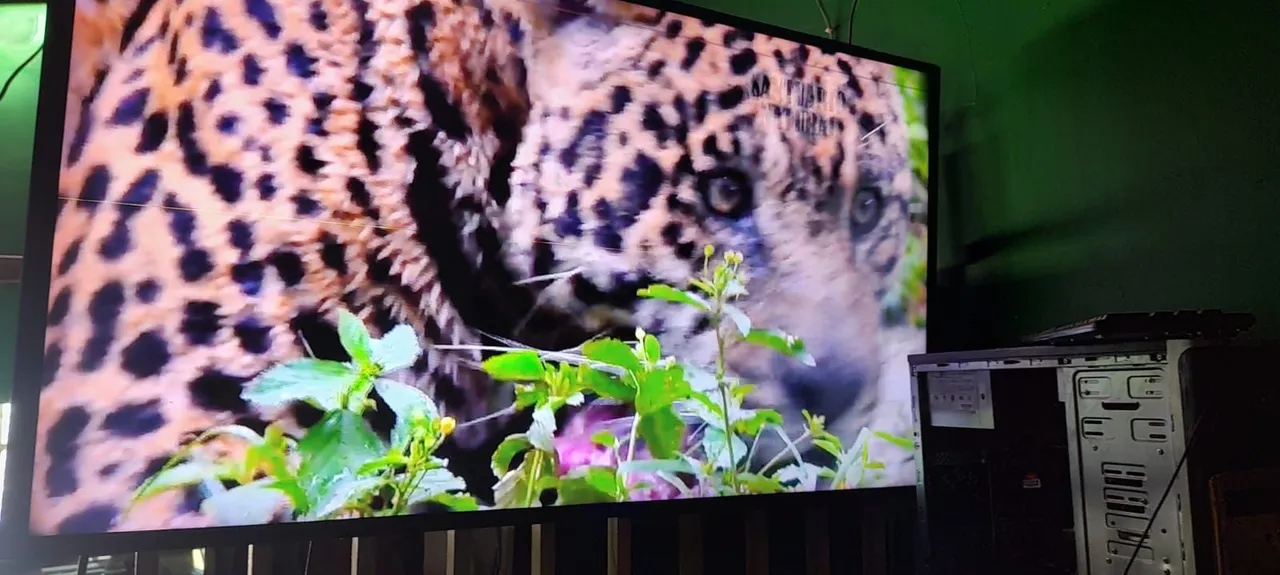 Smart TV com Imagens Incríveis