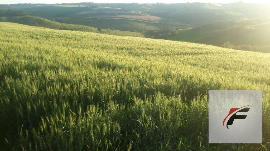 Fazenda à venda, 2988700 m² por R$ 37.000.000,00 - Rural - Faxinal/PR - Foto 4