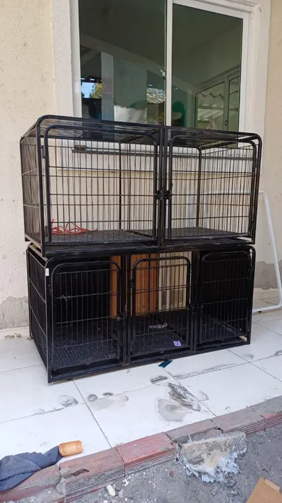 Gaiolas para pet shop