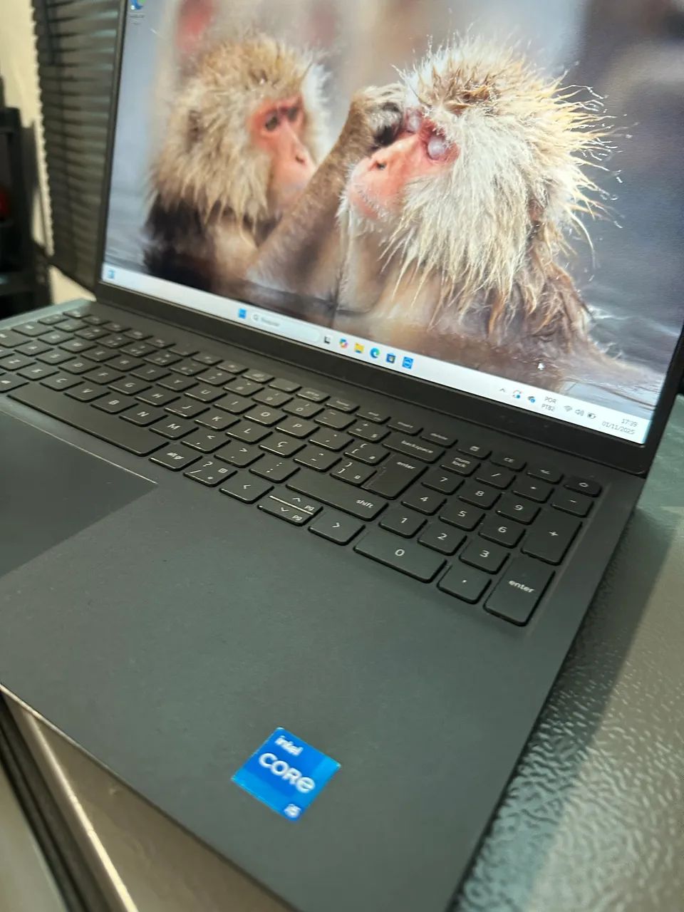 NOTEBOOK DELL 15 i310064302734782082123