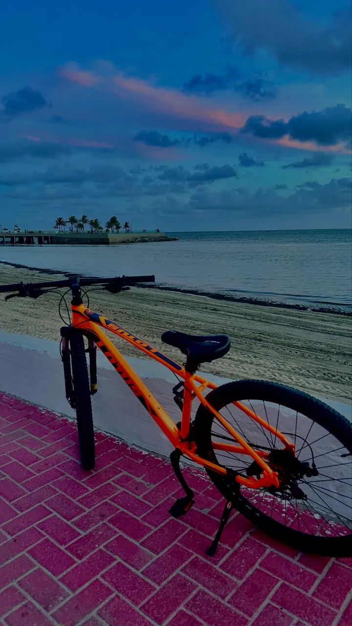 Bicicleta lotus zero - Foto 2