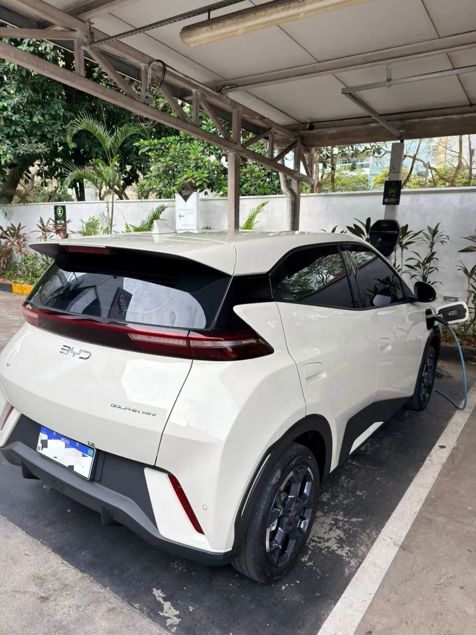 BYD Dolphin Mini GL 2027 - Foto 4