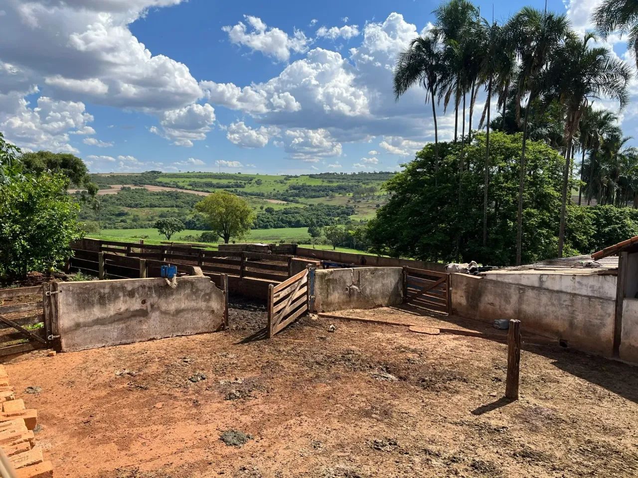 Vendo Fazenda no municipio de Perdizes/MG - Foto 4