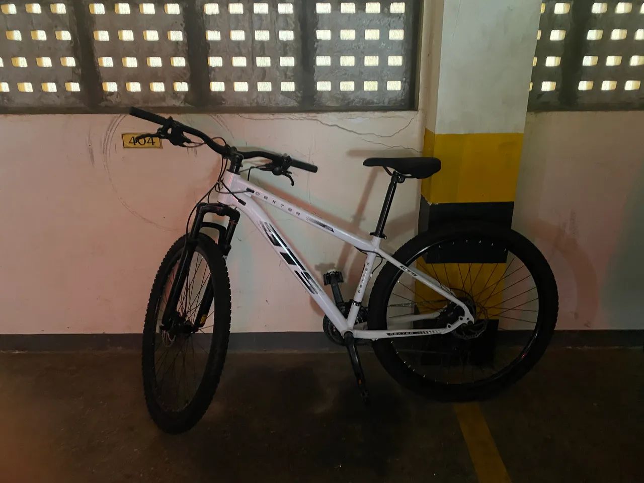 Bicicleta DEXTER GTS Nova