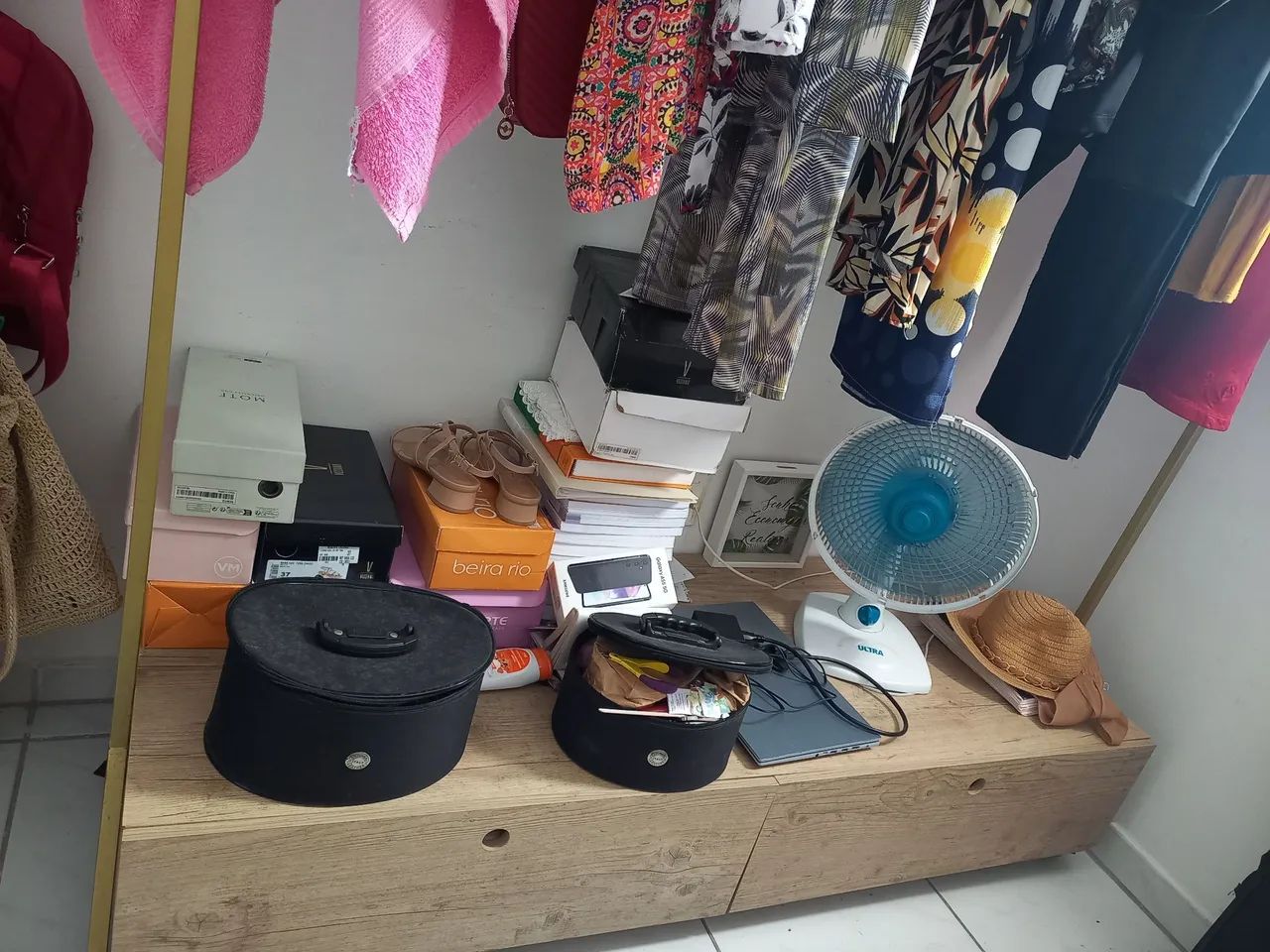 Arara  - Foto 2