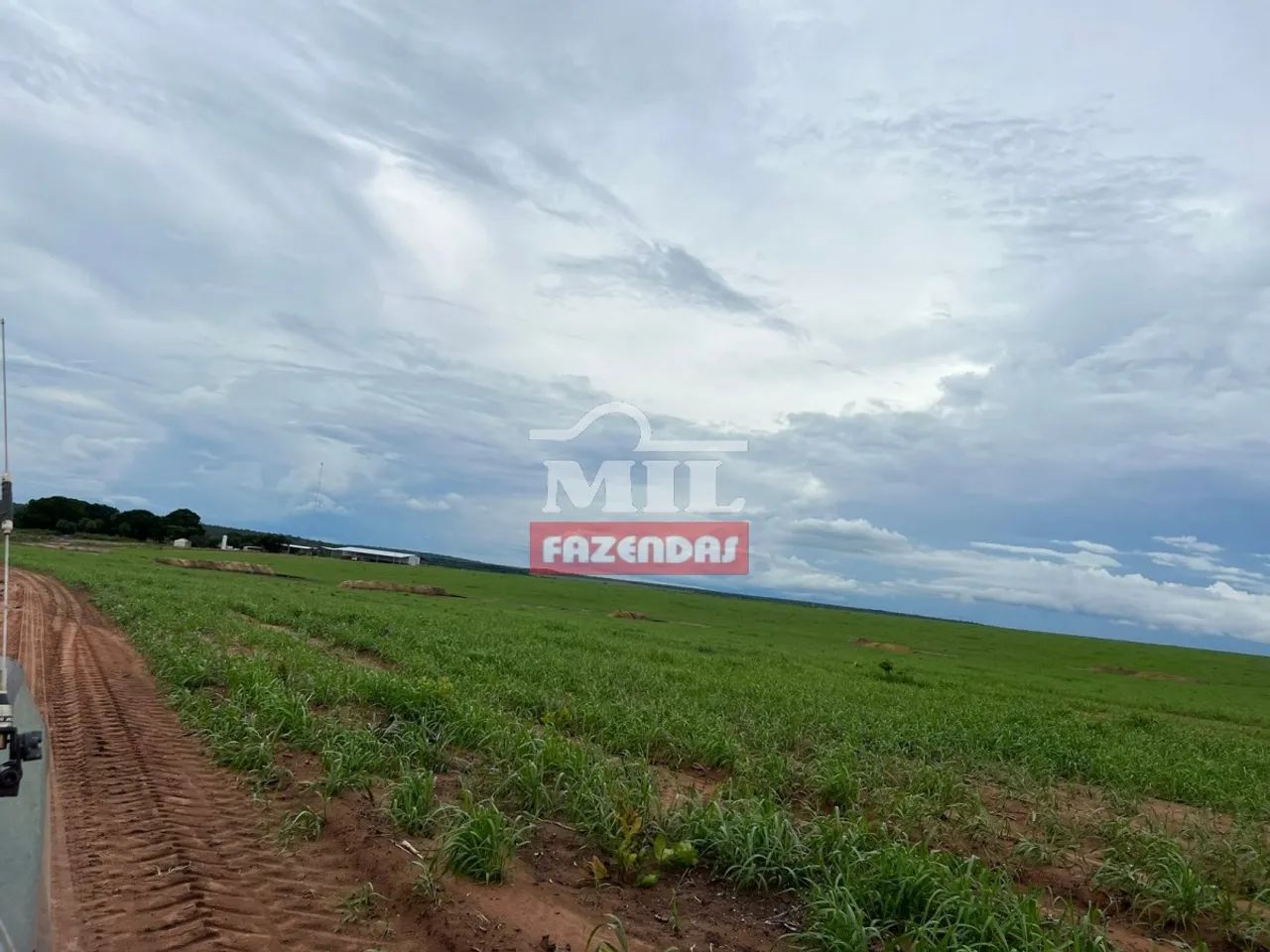 ARRENDAMENTO AGRÍCOLA CENTENÁRIO  TO 2.600 Hectares