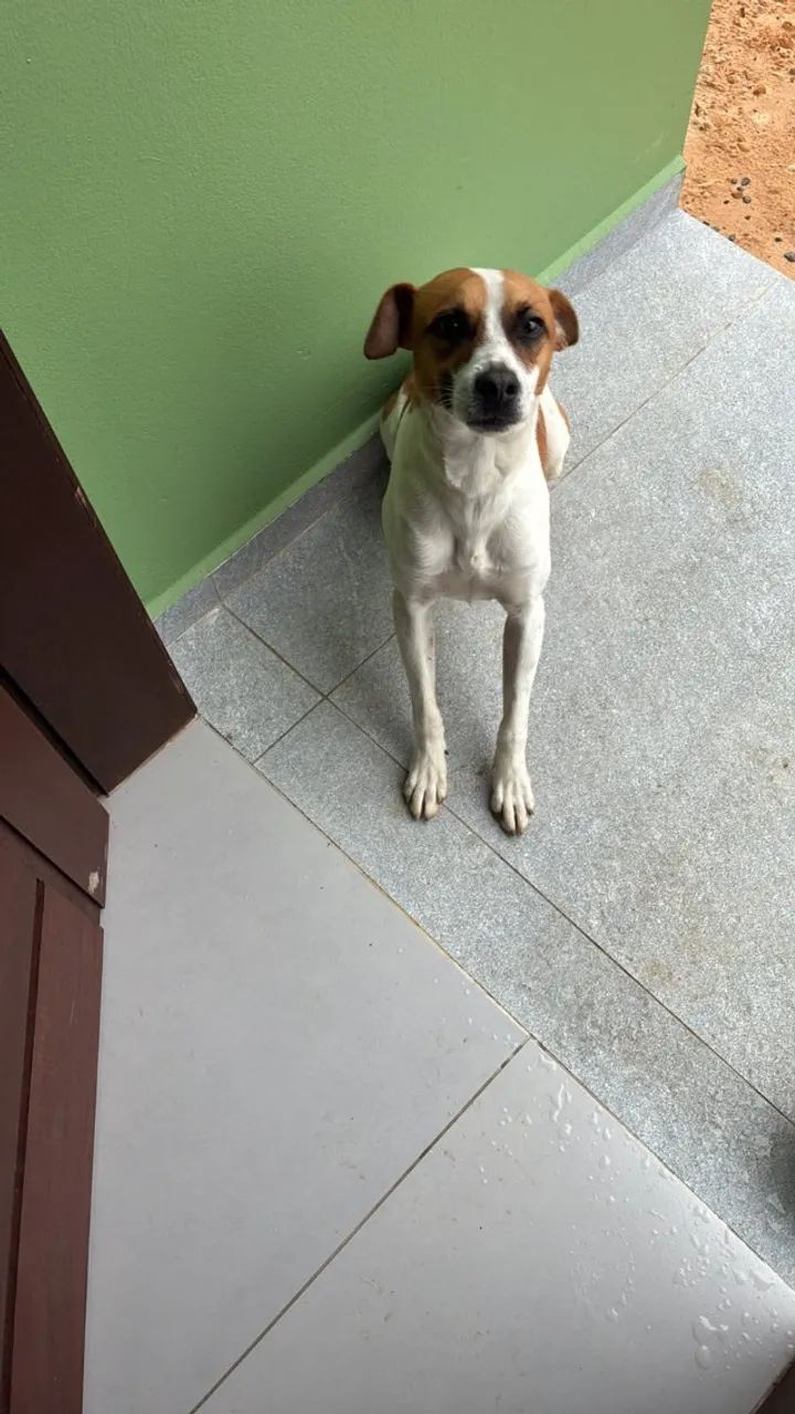 Doação - Foto 3