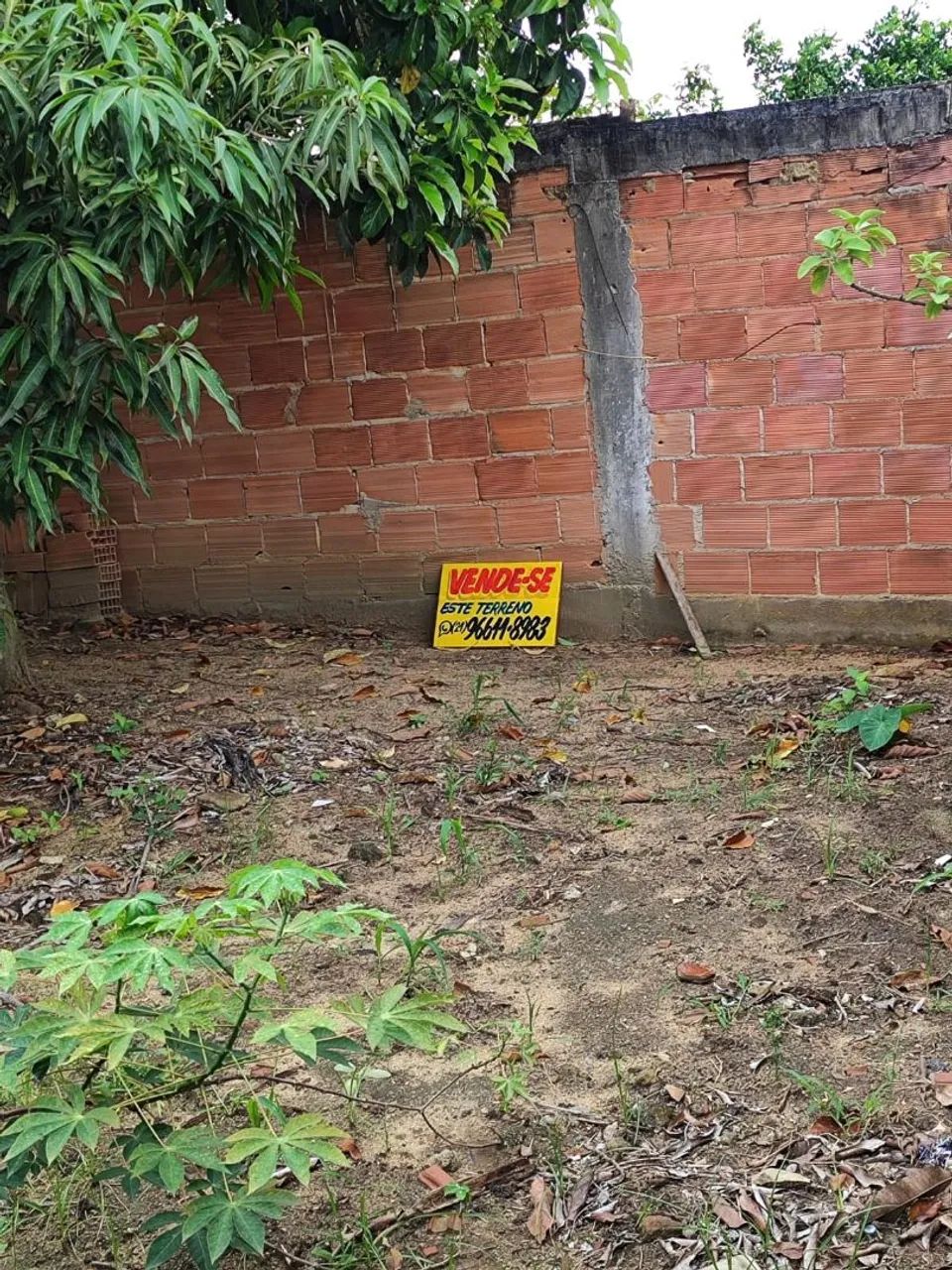 Vendo terreno com escritura  - Foto 5