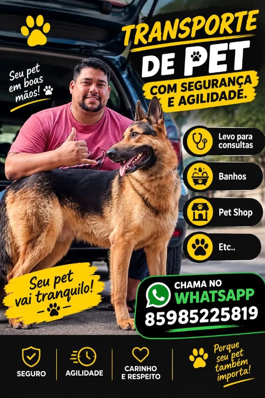 TRANSPORTE DE PET 