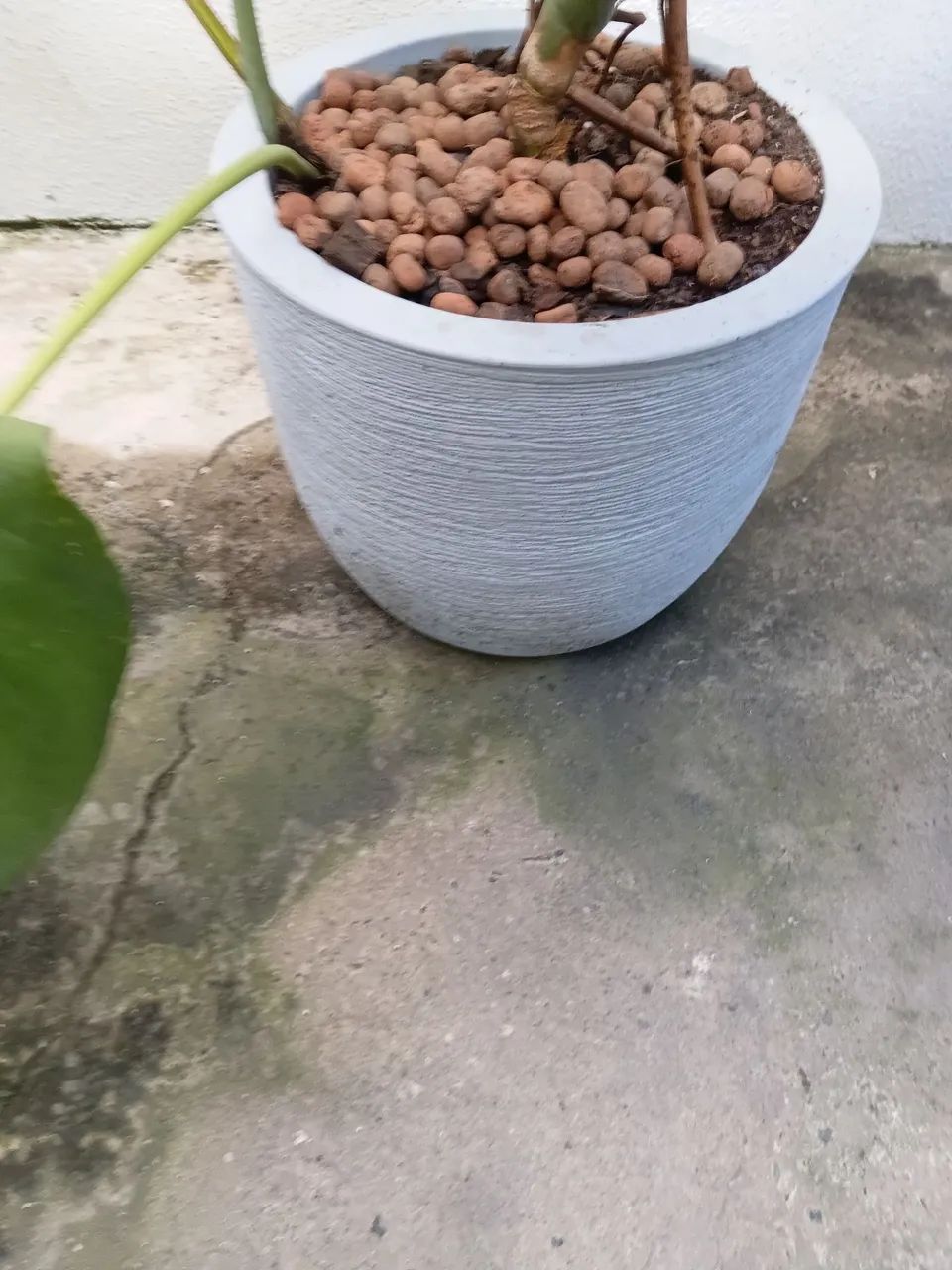 Natural  - Foto 4