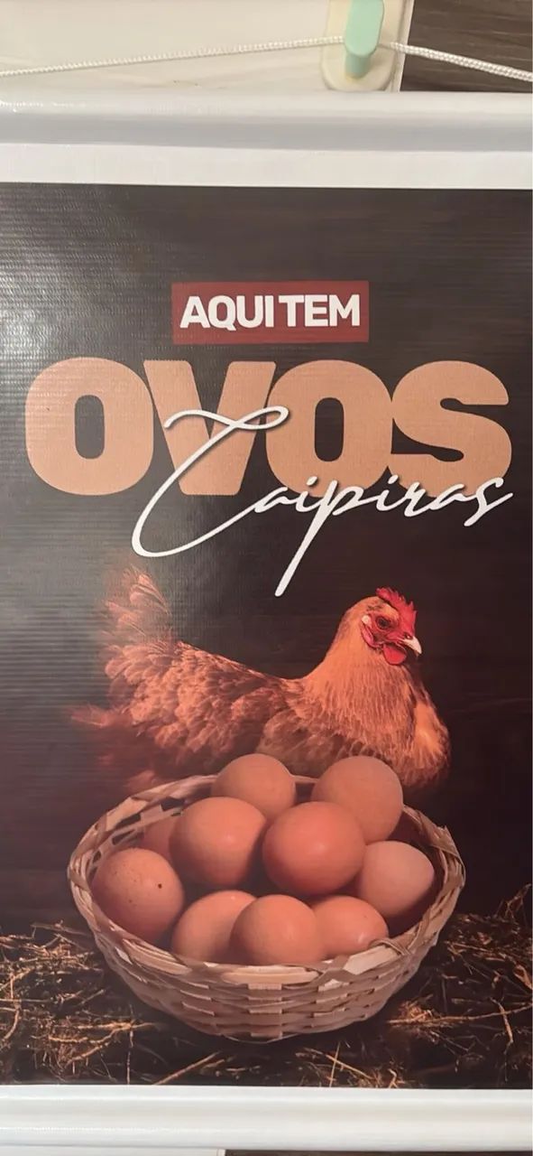 Vendo Ovos Caipiras 