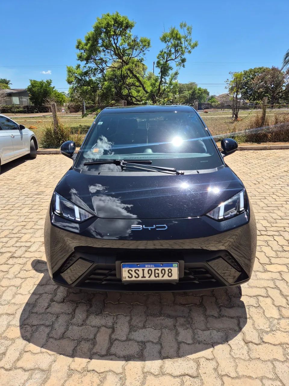 BYD Dolphin Mini (Elétrico) 2025 - Foto 2