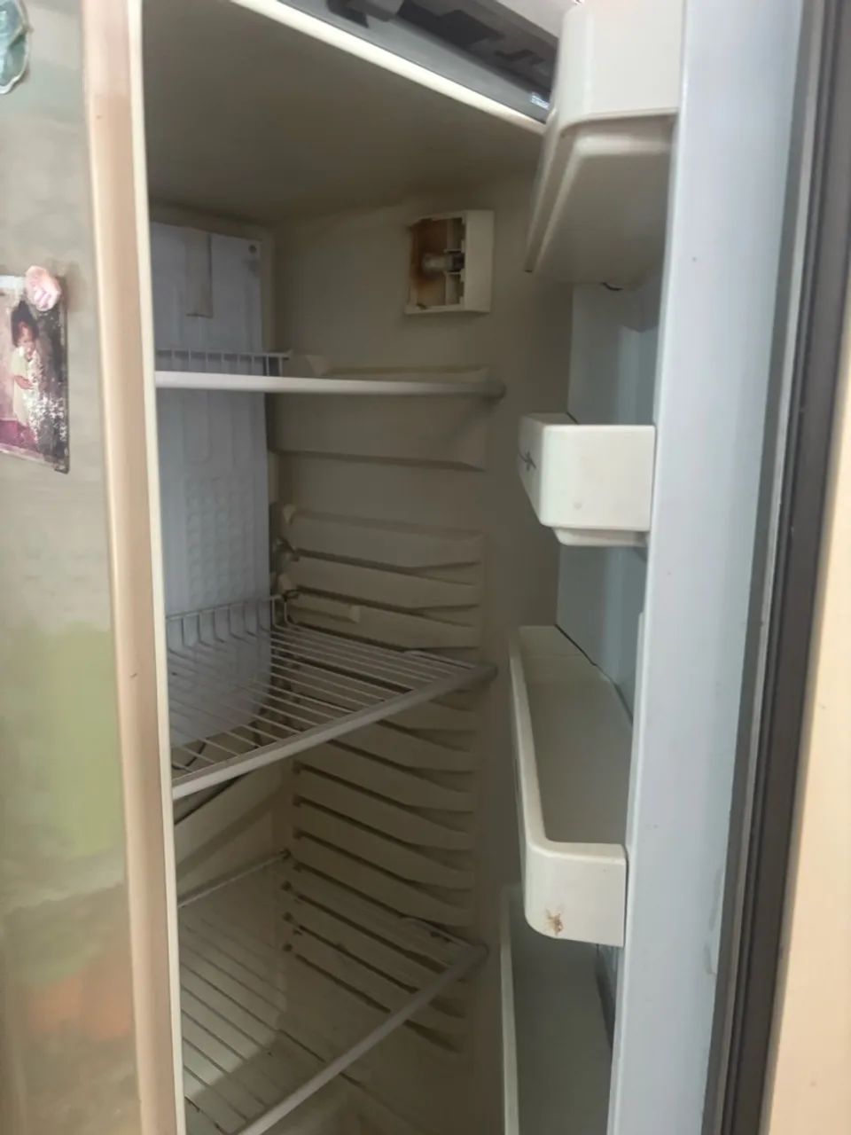 Geladeira 110v  Marca prosdocimo  - Foto 3