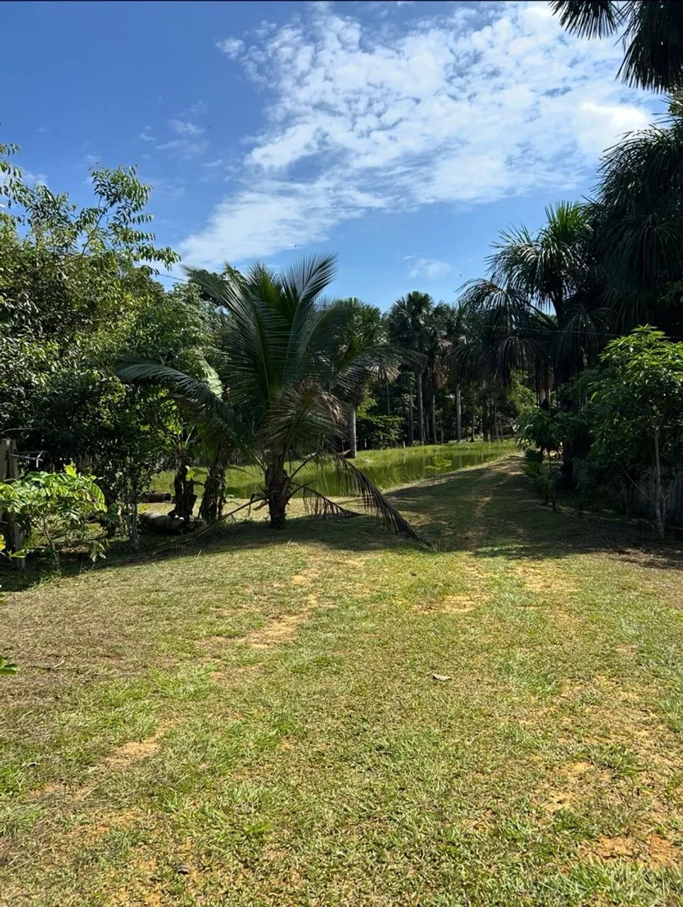 Chácara a venda  - Foto 3