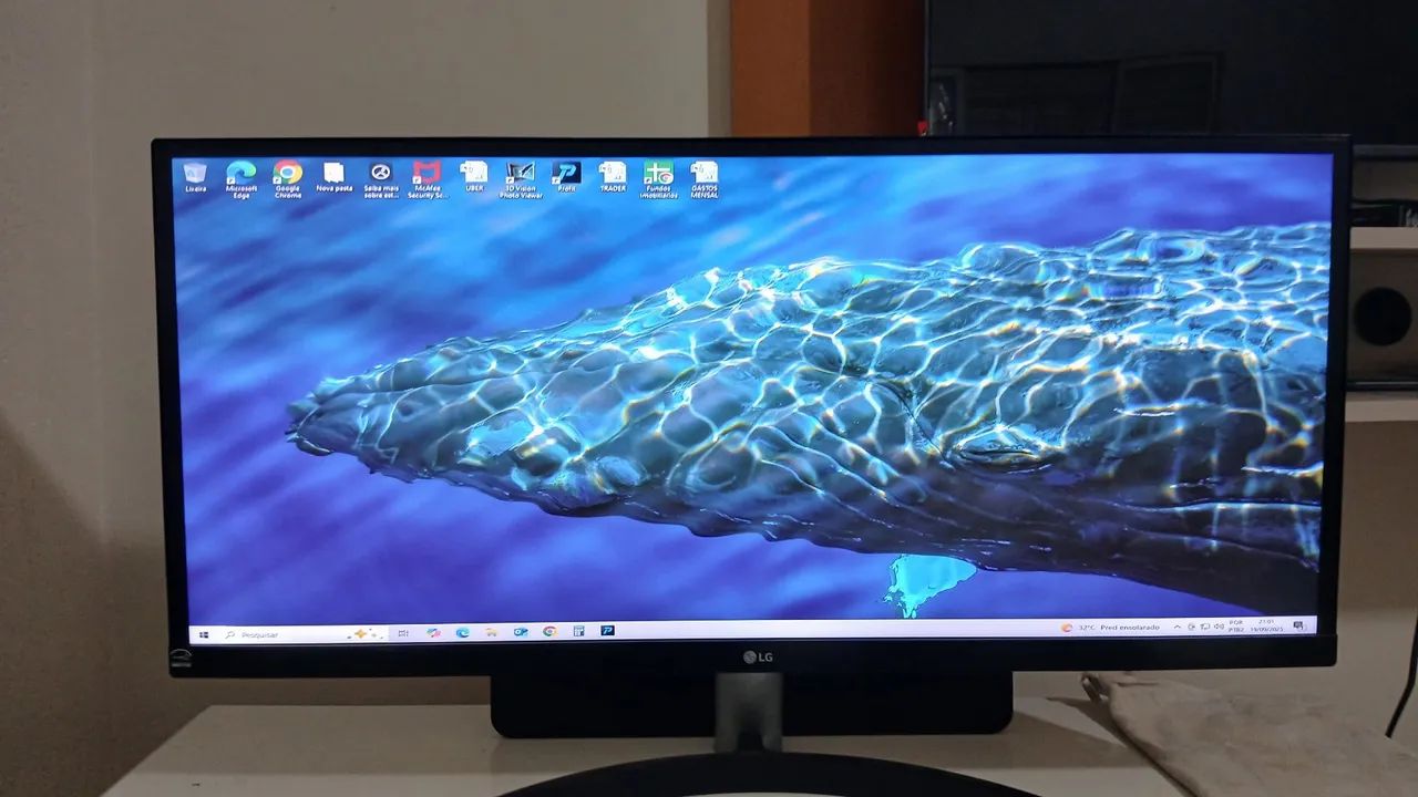 Monitor LG Ultrawide 29"