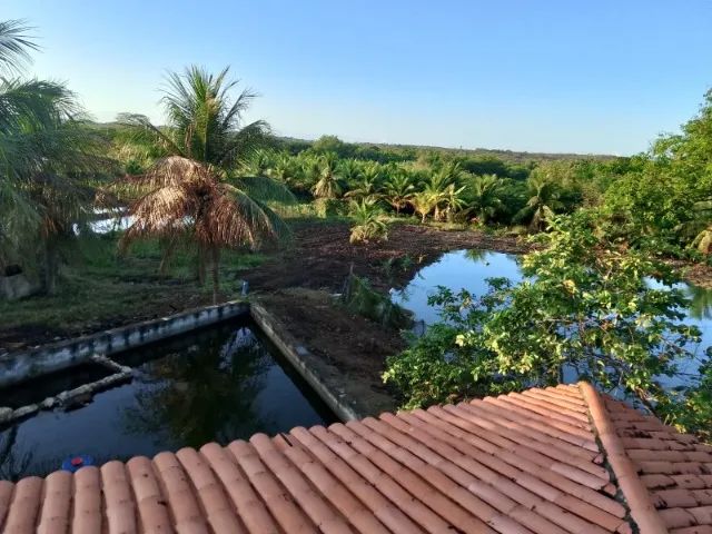 Lindo Sítio Produtivo de 30.000m2 no Centro de Pentecoste