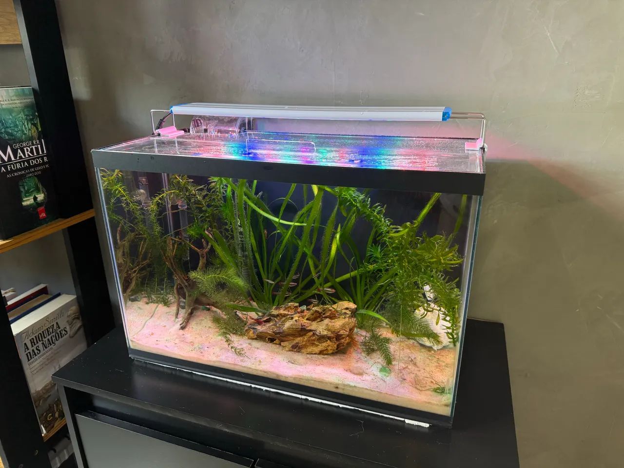 Aquário 26l completo com acessórios - Foto 3