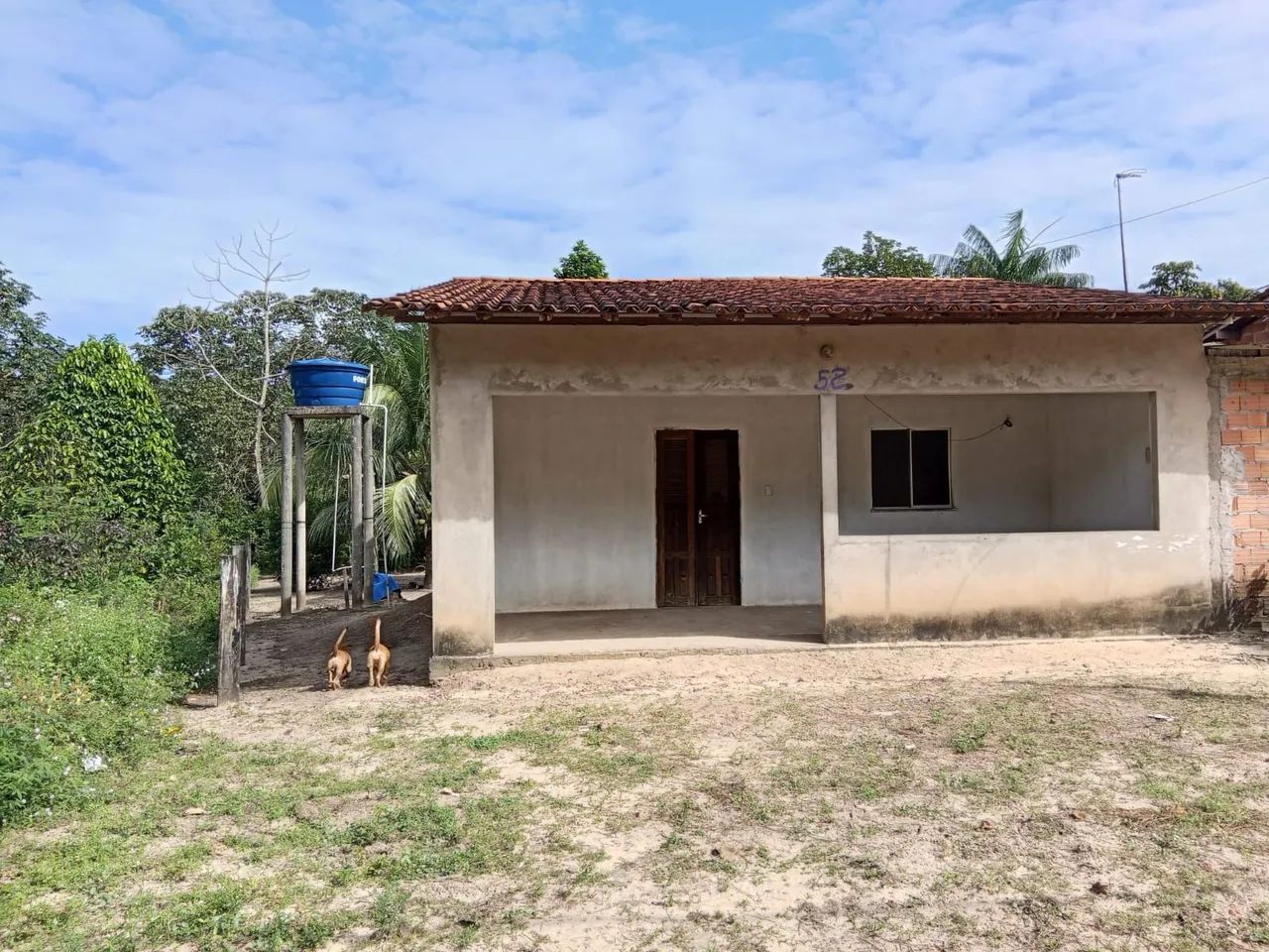 Foto - São Luís - Pedrinhas