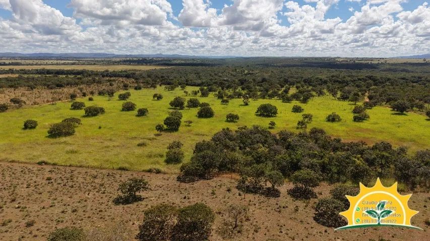Fazenda com 48 hectares, Paracatu-Mg - Foto 3