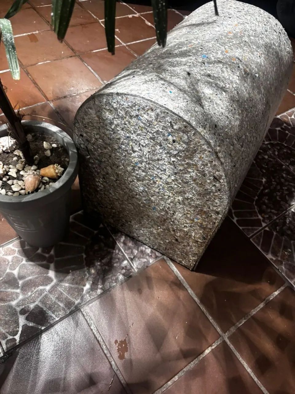Doação de casinha de cachorro  - Foto 5